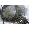 трехстенные (2667)